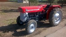 Foto 2 Massey Ferguson 135 Anno 1970 Ore 7500