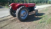 Foto 3 Massey Ferguson 135 Anno 1970 Ore 7500