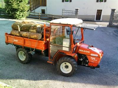 Goldoni Transcar W33 RS