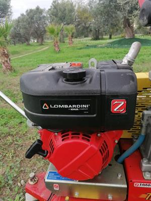 Abbacchiatore per olive