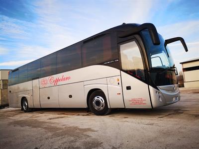 Auto bus Magelesic