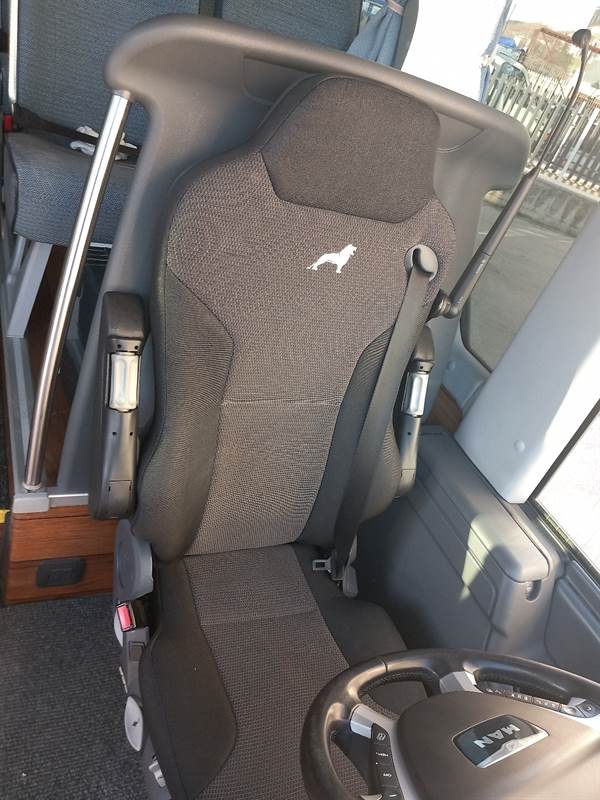 Foto 5Autobus MAN appena tagliandato Anno 2016 Km 0 Euro 6, full optional