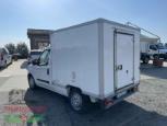 Fiat Doblò 1.6 M.Jet 105 CV Isotermico frigo FRCX Anno 2013, in ottime condizioni - Foto 4