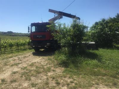 Camion Marca MAN con gru, cassone fisso, in ottime condizioni - Foto 4