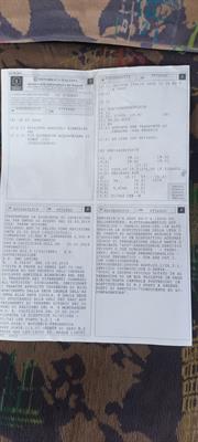 Foto - 11