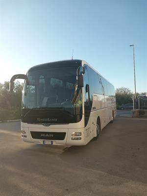 Autobus MAN appena tagliandato Anno 2016 Km 0 Euro 6, full optional - Anteprima 11