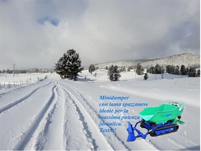 Minidumper c/Cingoli in gomma Seconda velocità di SERIE - Foto 6