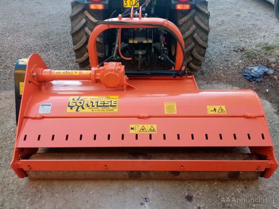 Foto 3 Trincia cortese