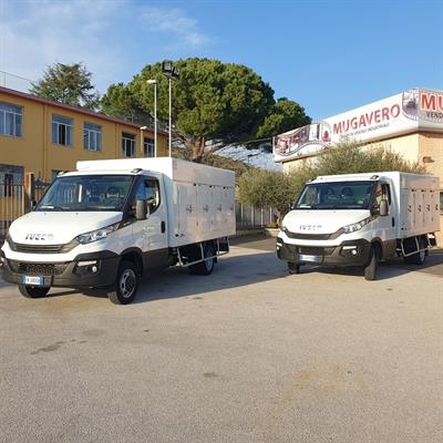 Iveco Daily 35c14 E6 frigo surgelati - anno 2017, Km 42.000